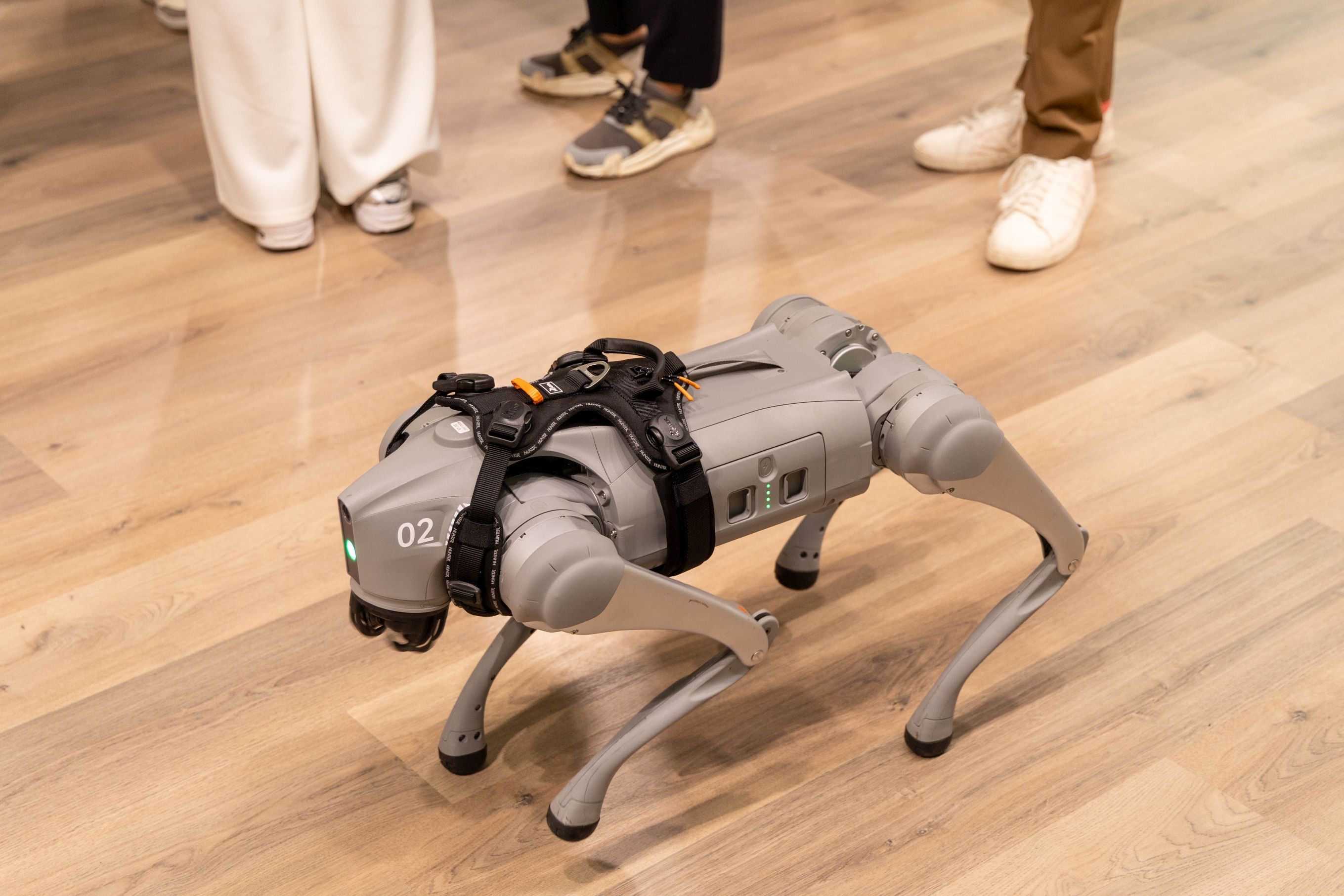 Source: WZF GmbH